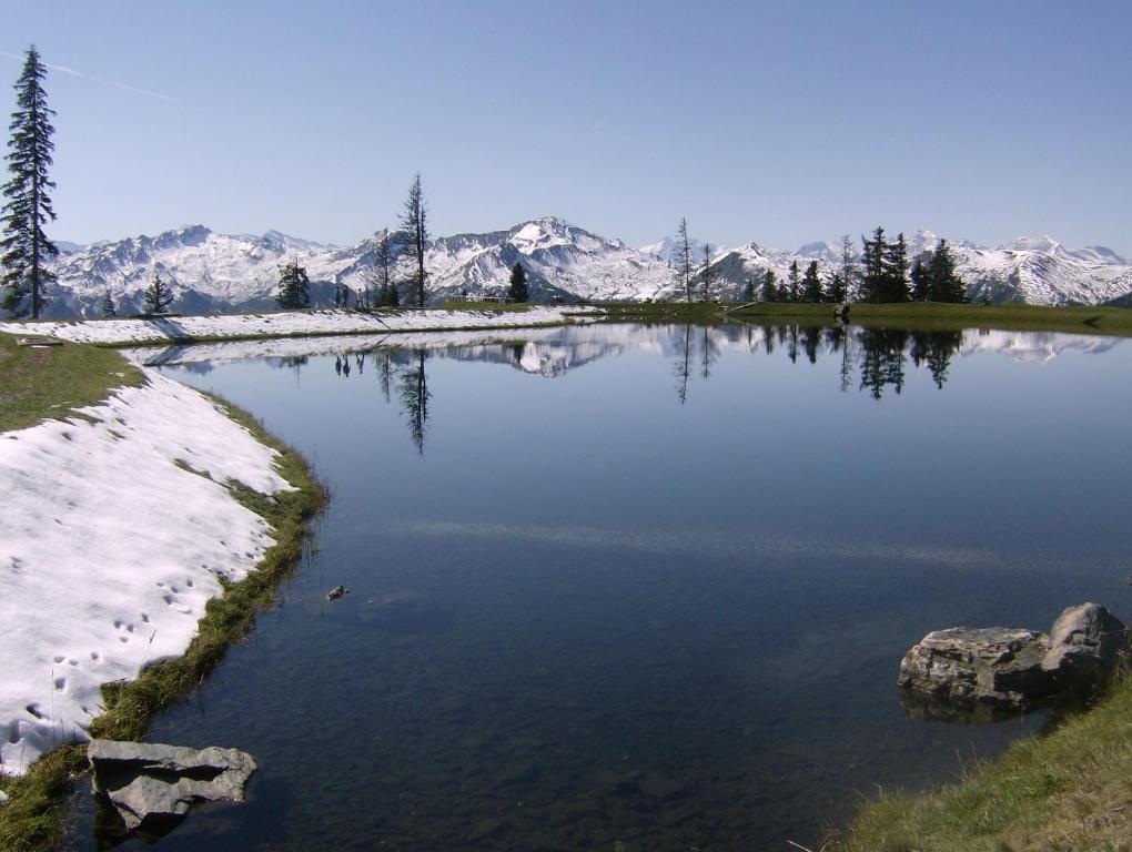 Gaestehaus Gratz - Inklusive Eintritt In Die Alpentherme دورفغاستين المظهر الخارجي الصورة