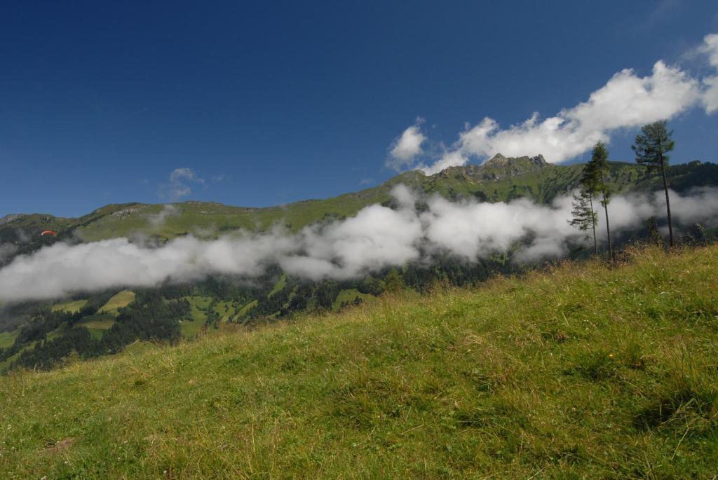 Gaestehaus Gratz - Inklusive Eintritt In Die Alpentherme دورفغاستين المظهر الخارجي الصورة